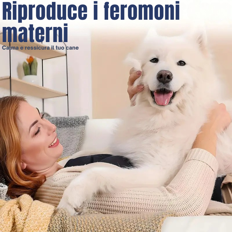 Obroża antystresowa dla psów.